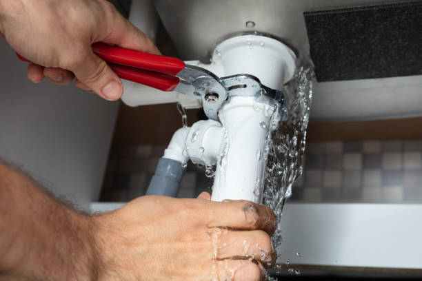 Best Carpet water damage restoration  in Webster, FL