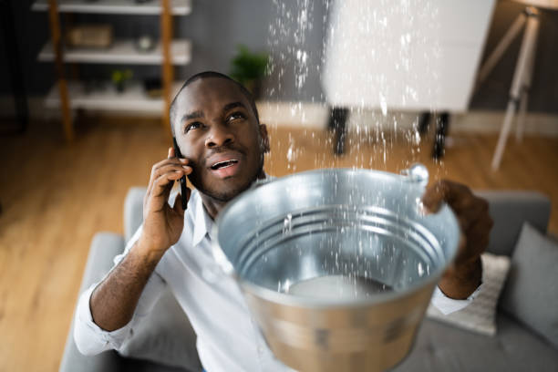 Best 24-hour water damage restoration  in Webster, FL
