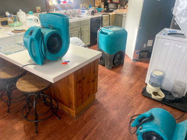 Best Water damage restoration near me  in Webster, FL