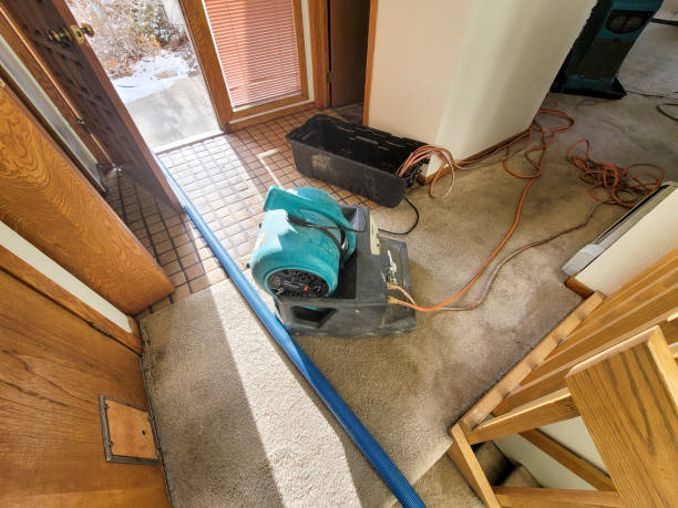 Best Water damage restoration near me  in Webster, FL
