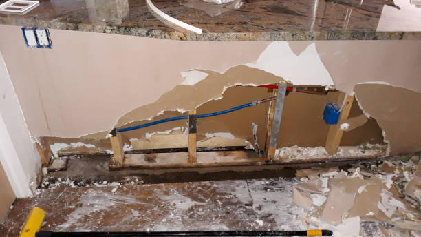 Best Mold removal after water damage  in Webster, FL