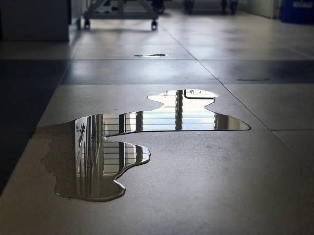 Best 24-hour water damage restoration  in Webster, FL
