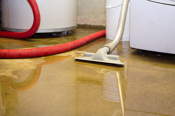 Best 24/7 water damage repair  in Webster, FL