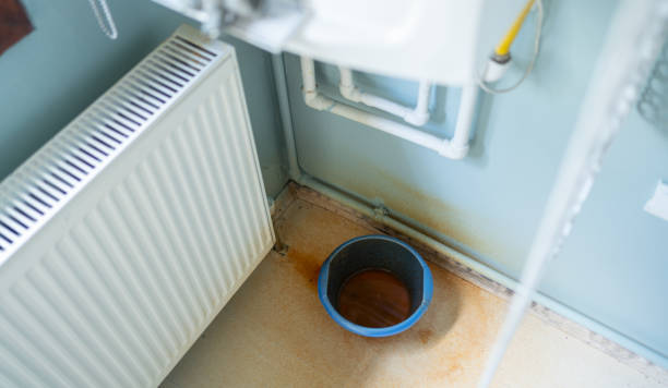 Best Professional water damage repair  in Webster, FL