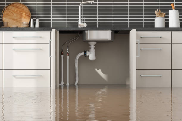 Best Water damage mitigation services  in Webster, FL
